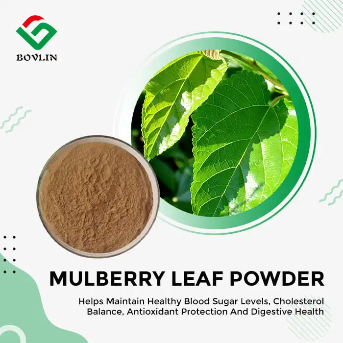 Best Mulberry Leaf Extract